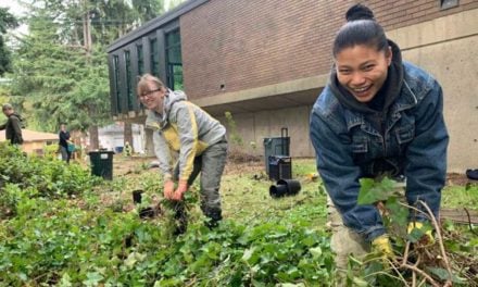 Volunteers needed for Community Tree Planting Work Party on Sat., Jan. 25