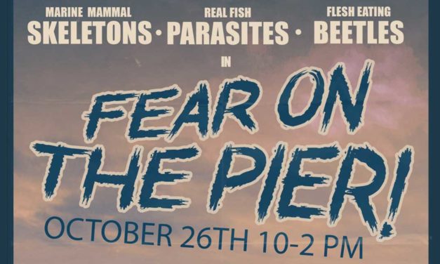 ‘Fear on the Pier’ will haunt the MaST Center Aquarium on Sat., Oct. 26