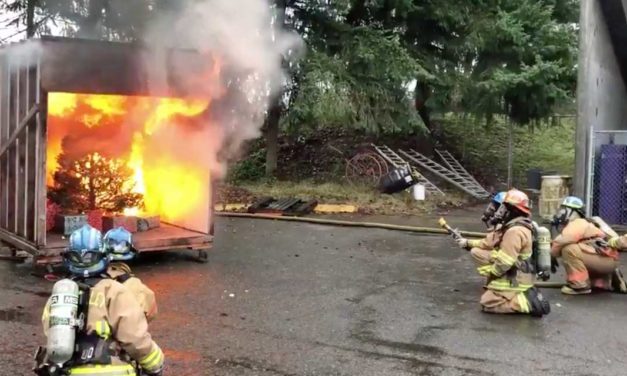 VIDEO: Watch Puget Sound Fire’s Christmas tree demo burn