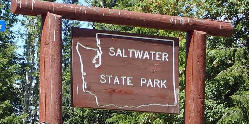 Free low tide beach explorations return to Saltwater State Park Aug. 10-13