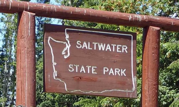 83,000 gallons of sewage spilled for nearly 10 hours near Saltwater State Park on Saturday