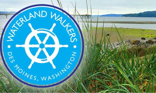 Walk the Des Moines Creek Trail with the Waterland Walkers this Sunday, Oct. 18