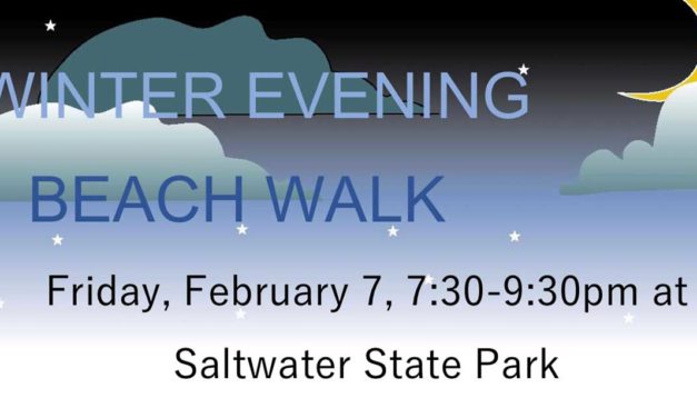 Winter Evening Beach Walk will be Friday, Feb. 7 at Saltwater State Park