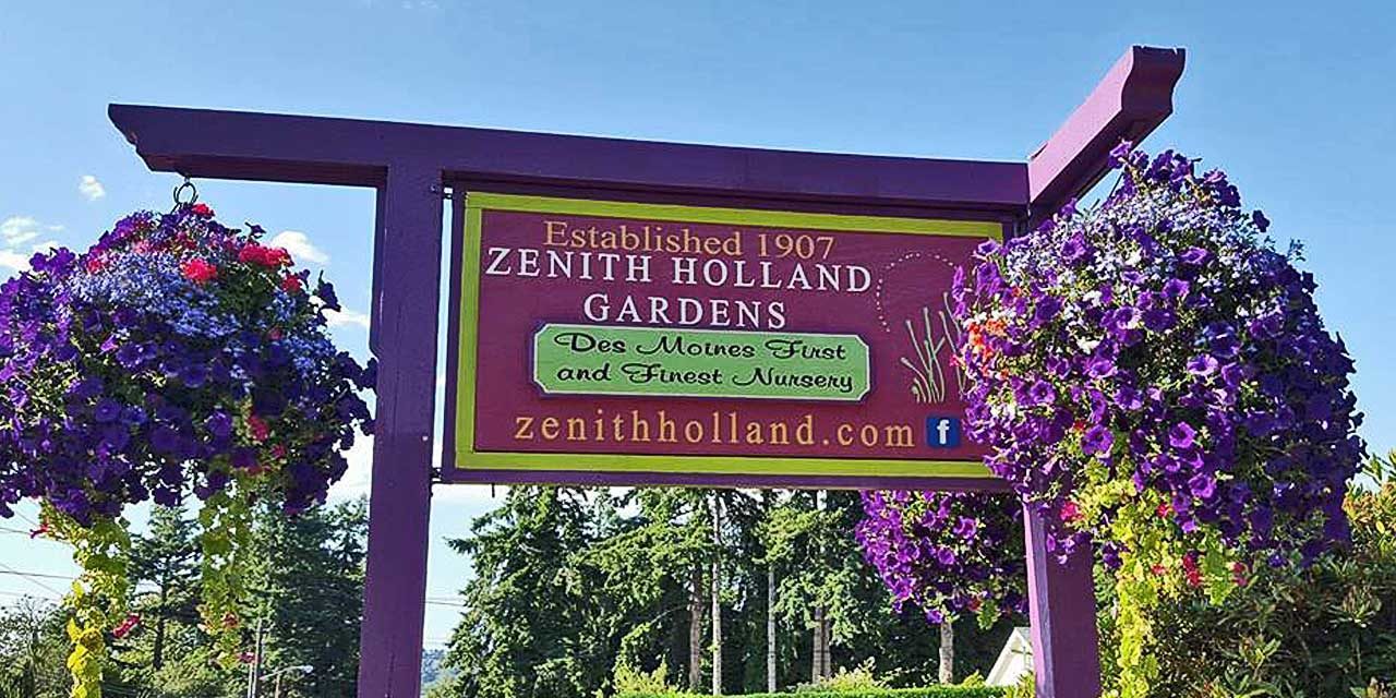 Introducing your ‘Daily Dose of Natural Beauty’ by Zenith Holland Nursery