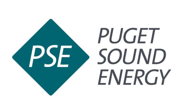 Power knocked out to nearly 1,400 PSE customers Thursday afternoon