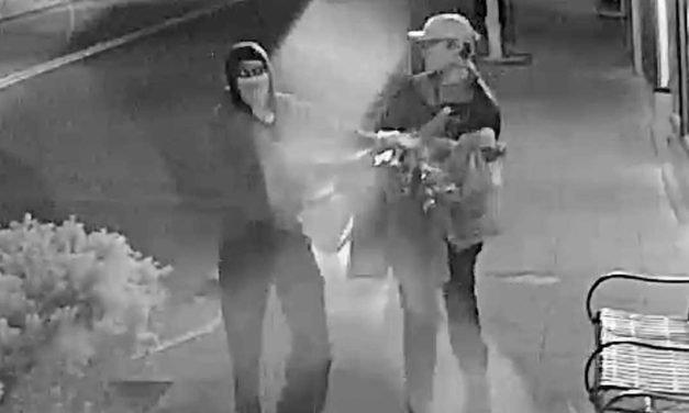 VIDEO: Recognize these thieves? They stole 38 Pride Flags in downtown Burien