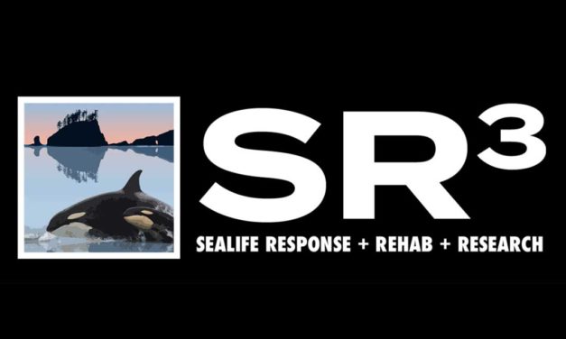SR3 holding virtual presentation on Salish Sea and its inhabitants this Wednesday