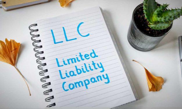 DAL Law Firm: Can an LLC protect my assets?