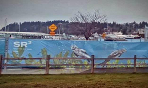 New public Art Mural by Allyce Wood installed at Des Moines Marina