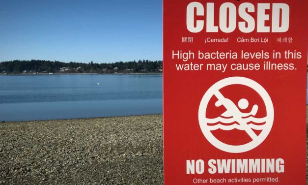 Sewage spill prompts closure of Des Moines Beach on Tuesday