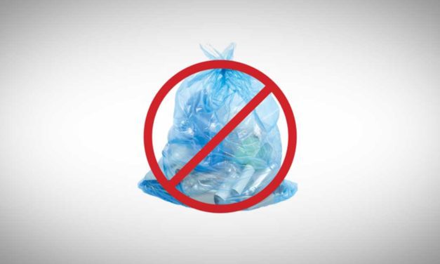 Ask Recology: Why can’t I put my recycling in a plastic bag?