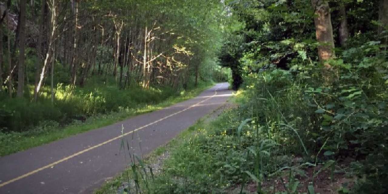 Walk the Des Moines Creek Trail on Wednesday, July 21