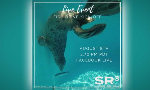 Meet animal patients at live ‘Fish Drive’ at SR3 in Des Moines on Sunday, Aug. 8