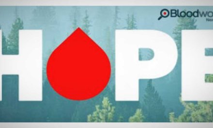 Bloodworks Northwest seeking Blood Donors at Normandy Park City Hall Dec. 6 & 7
