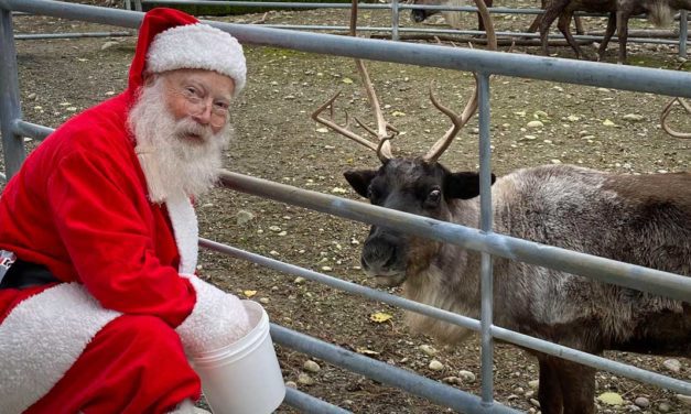 Come meet a real, live reindeer (with Santa) this Friday at Normandy Park Towne Center