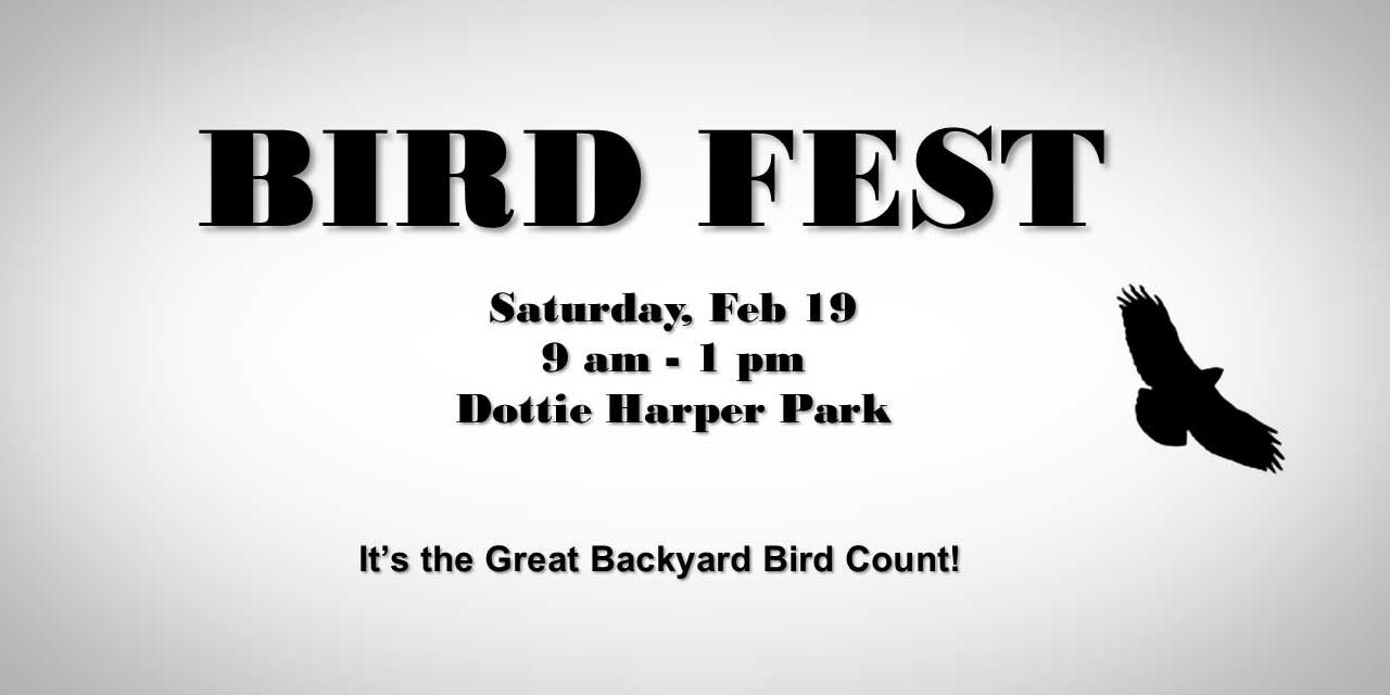 Bird Fest 2022 will be Saturday, Feb. 19 in Burien