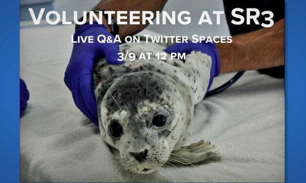 Learn about Volunteering at SR³ in Des Moines at online event this Wednesday