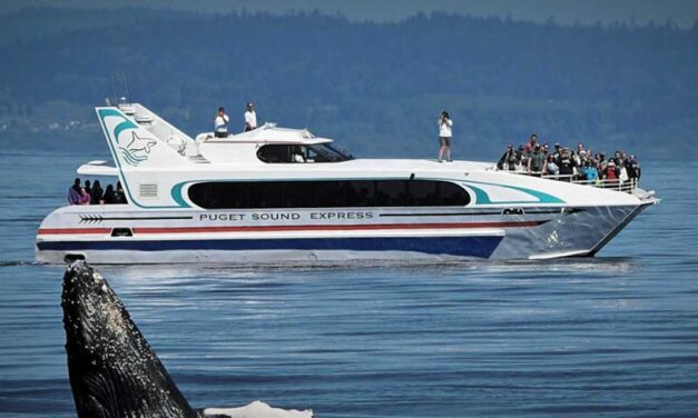 Des Moines Council approves passenger ferry pilot project to Seattle; launches Aug. 10