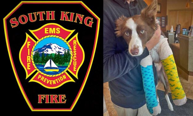 New South King Fire & Rescue firefighter and his injured dog need the public’s help