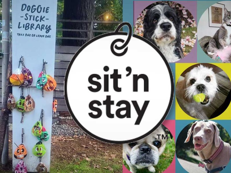 Barry and Brittany of Sit ’n Stay Pet Sitting have select new client openings now!