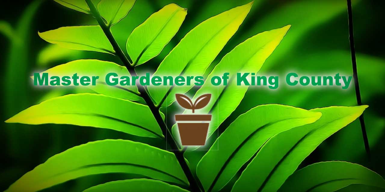SKM MasterGardenersofKingCounty20