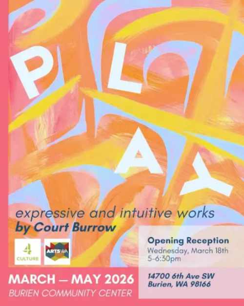 Play Court Burrow 500