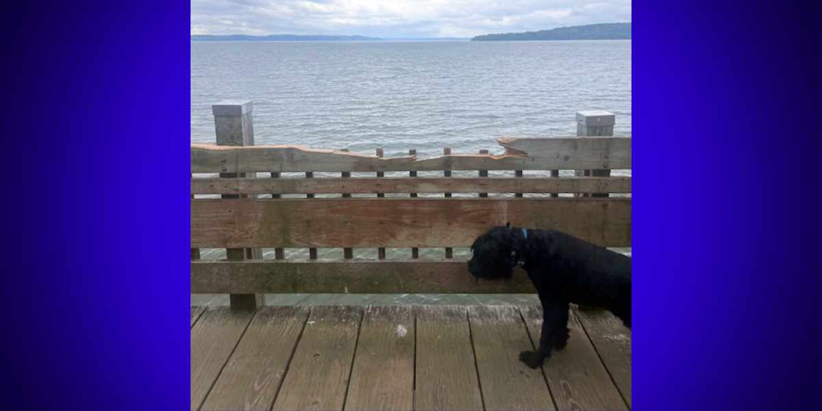 SKM NPMarineViewParkSignVandalism042926