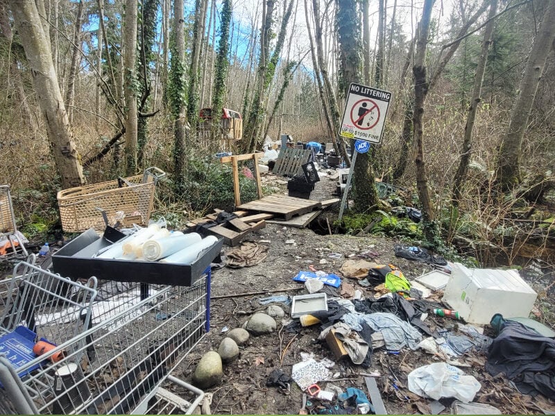 Local diver shares concerns over pollution in Woodmont Wetlands along McSorley Creek