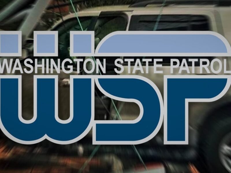 SKM WSPLogo23