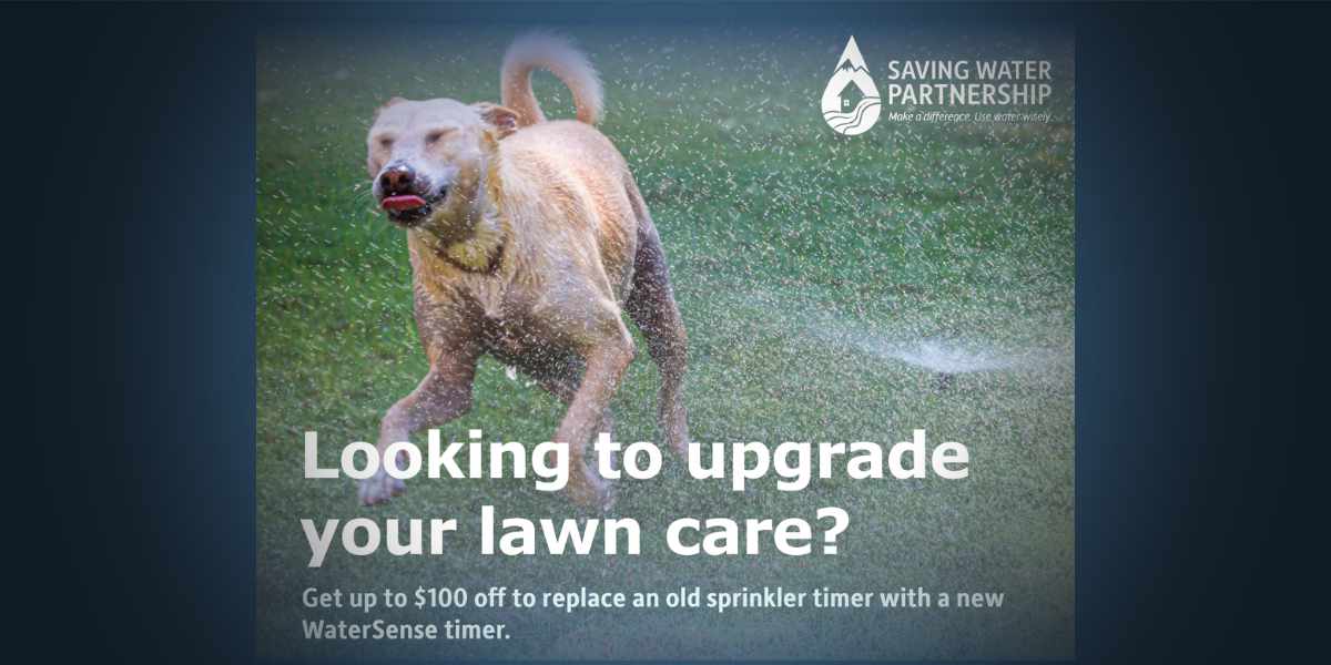 SKM EnviroIssuesSprinklerUpgrade