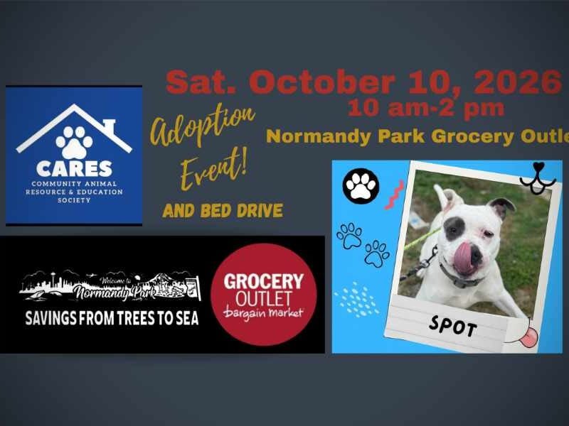 Normandy Park Grocery Outlet hosting adoptable pets and pet bed drive this Saturday, Oct. 10